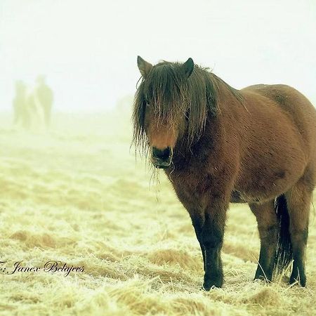 Отель Efri-Gegnisholar Селфосс Экстерьер фото